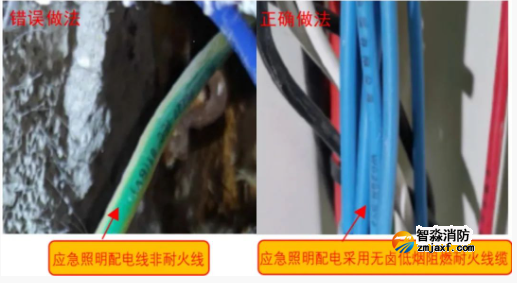 1741226675189829.png image.png